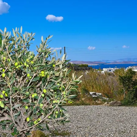 Saint Alexander Mykonos 펜션 Mykonos Town