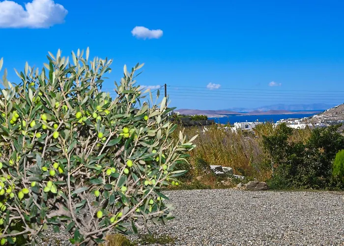 Saint Alexander Mykonos بيت للعطل Mykonos Town